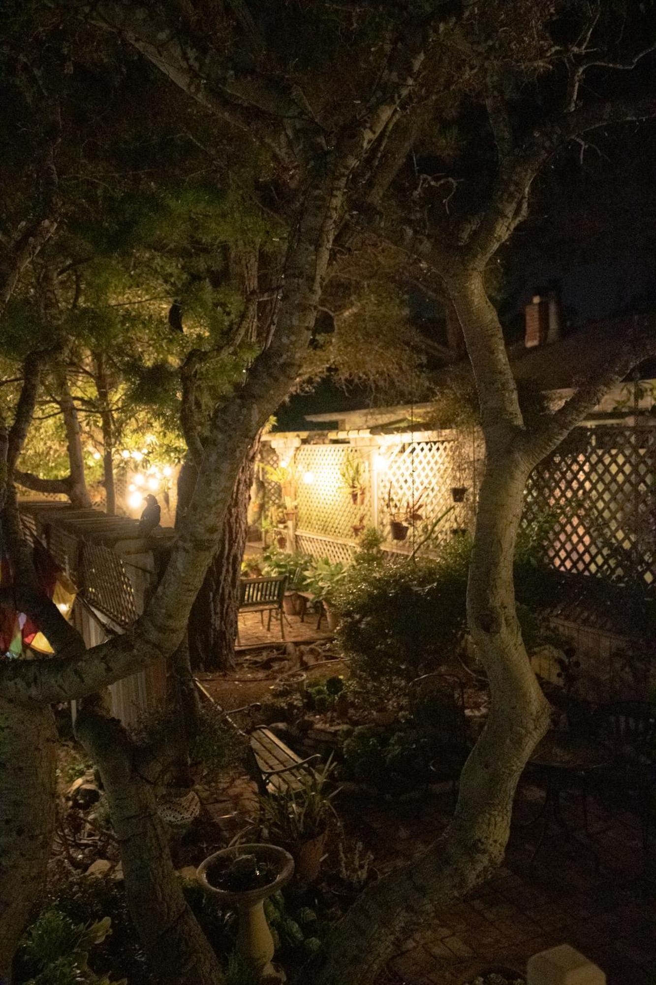 Carmel Garden Inn ภายนอก รูปภาพ