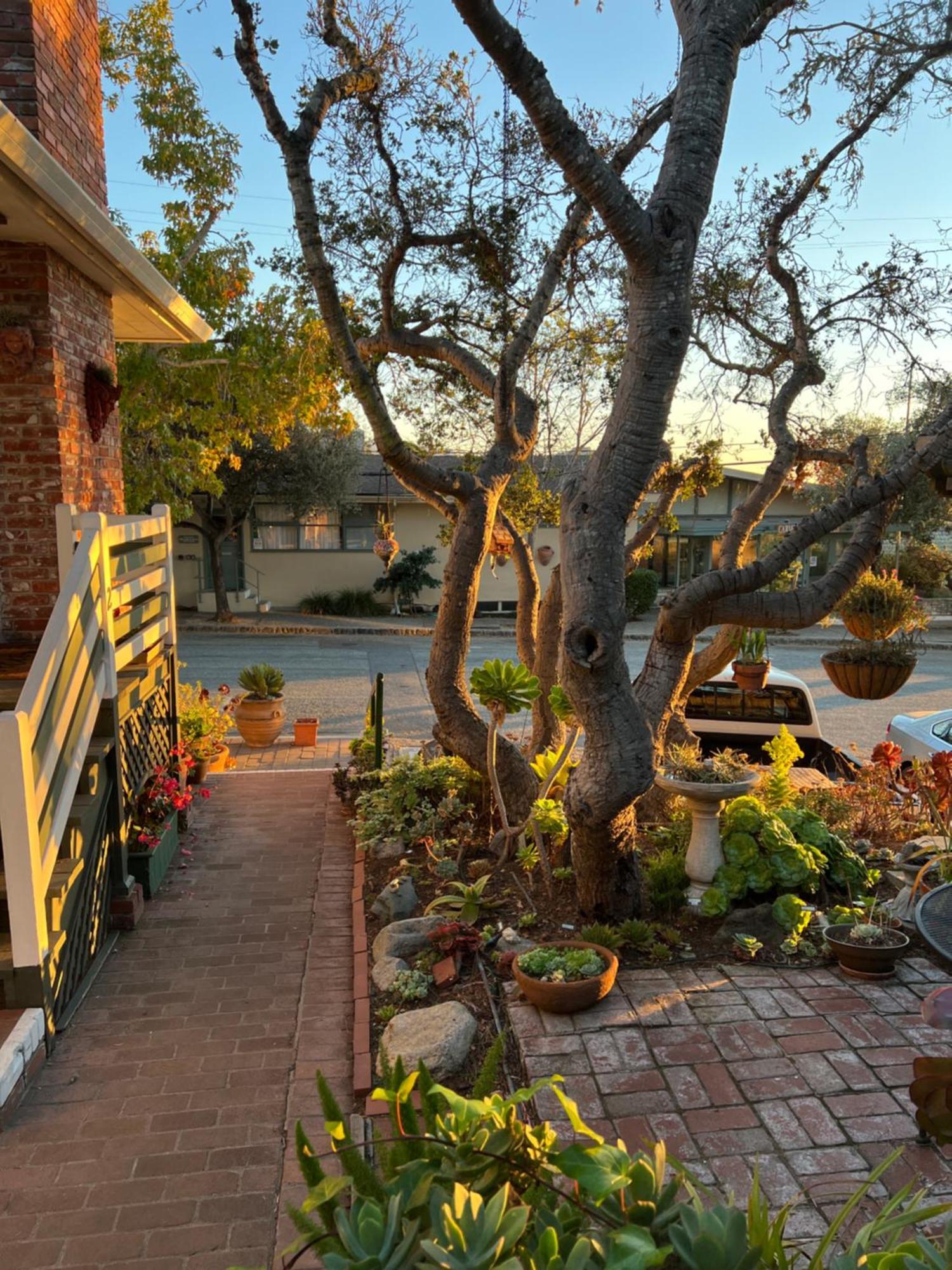 Carmel Garden Inn ภายนอก รูปภาพ